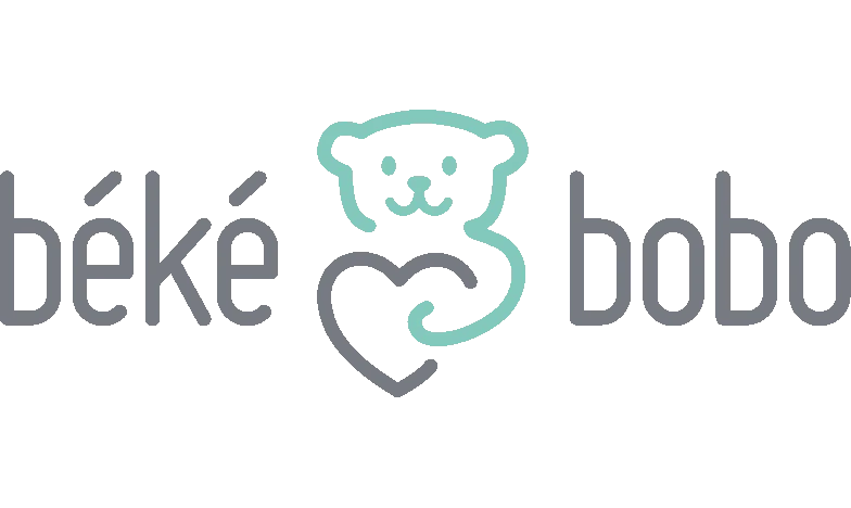 BB-logo_HOR_SansTxt_Gris-Turquoise